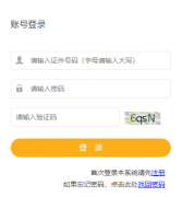 �������¿���������վ����:https://www.nxpta.com/wsbm/index.html