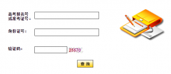 ����ʡ��������Ժ����ѯϵͳhttp://www.hbea.edu.cn/