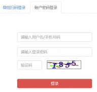 ��ʿ���ӻ���Ϣ��¼��ڸ��˶�https://cnnursys.cn/home/index