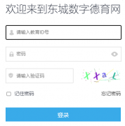 https://dcdy.bjdcjy.cn/