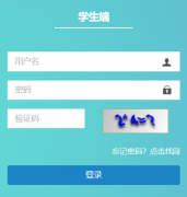 https://zkzz.whzkb.cn/stu/�人���п�����ϵͳ